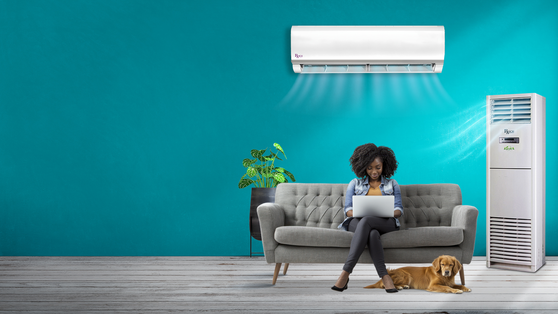 Roch Electronics – Leading Electronics in Africa